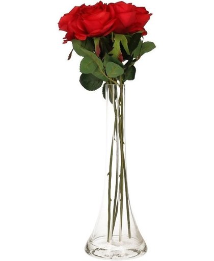 Valentijnscadeau 5 rode rozen in vaas
