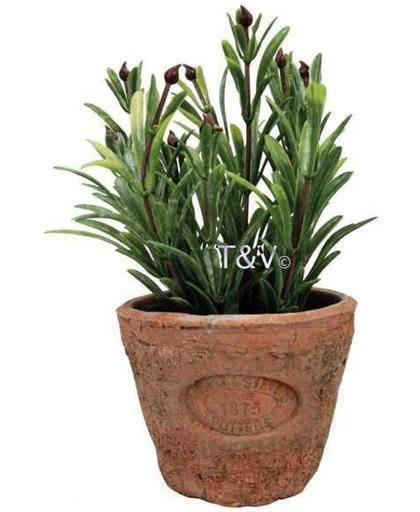 Esschert Design - Kunstplant Rozemarijn in Terracotta pot AH011