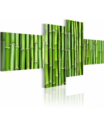 Schilderij - Groene bamboehalmen