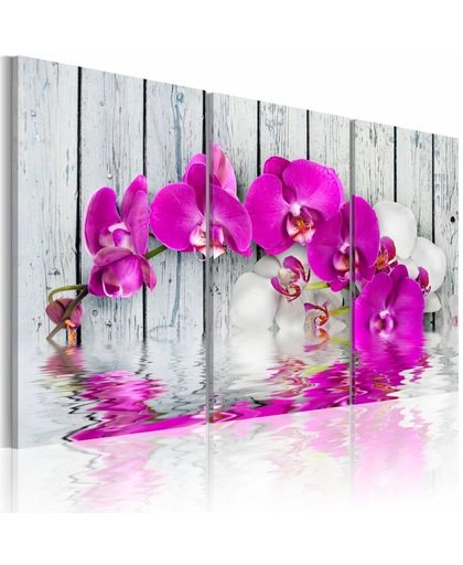 Schilderij - Orchideeën in harmonie