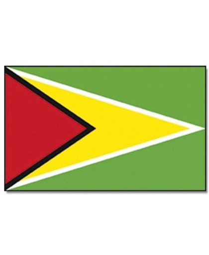 Vlag Guyana 90 x 150