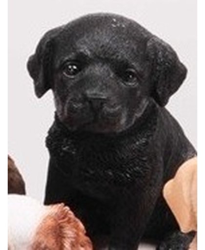 Dierenbeelden Labrador hond/puppy - Decoratie beeldje puppy zwart 15 cm