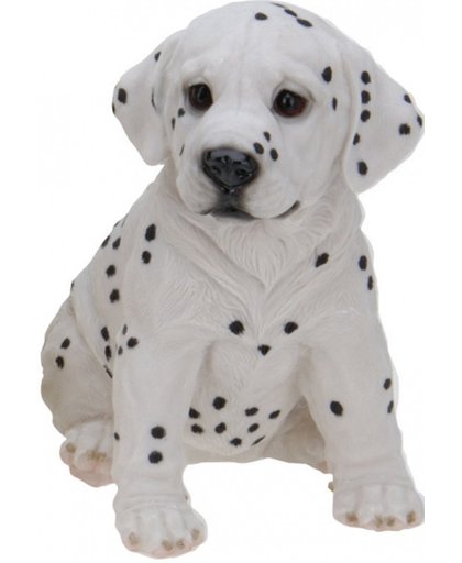 Honden beeldje zittende Dalmatier puppy 23 cm
