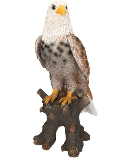 Dierenbeelden  adelaar- Decoratie beeldje adelaar multicolor 36 cm
