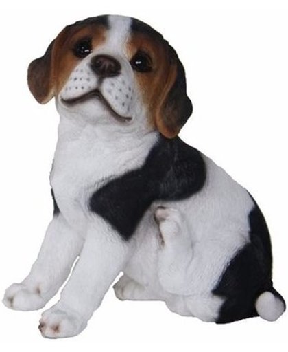 Dierenbeeldje Beagle hond pup type 2 20 cm - binnen/buiten beeldje