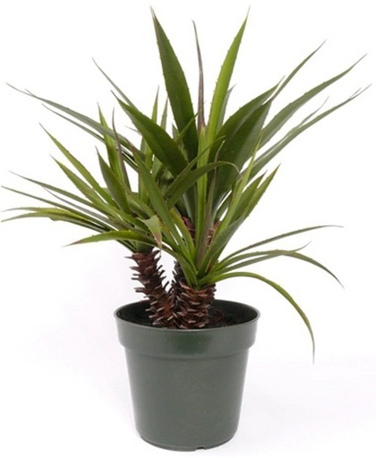 Aloe Ferox kunstplant in pot 71 cm