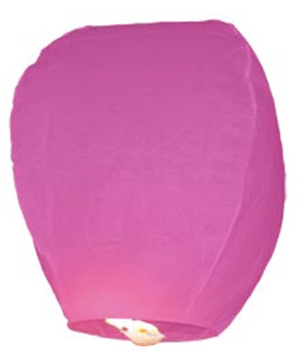 Roze wens lantaarn papier 48 cm