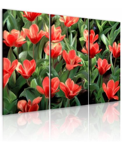 Schilderij - Rode tulpen in bloei
