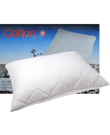 iSleep Hoofdkussen Cotton Tropic - 100% Katoen - 60x70 cm - Wit