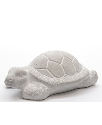 cement schildpad licht grijs 14x12x7cm