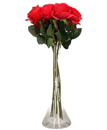 Valentijnscadeau 12 rode rozen in vaas