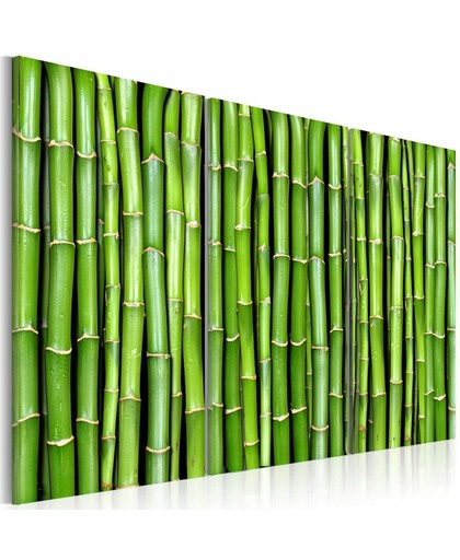 Schilderij - Bamboe muur