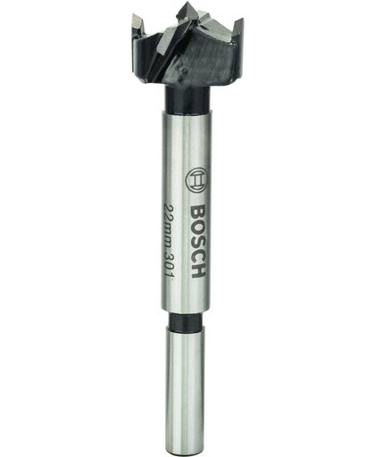 Bosch - Hardmetalen kunstboor 22 x 90 mm, d 8 mm