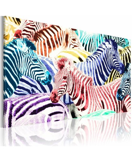 Schilderij Zebra's in kleur