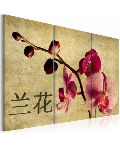 Schilderij - Orchidee en Orient