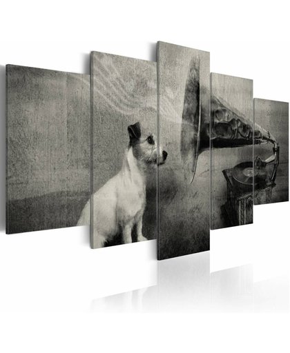 Schilderij - Hond bij grammofoon - vijf delig
