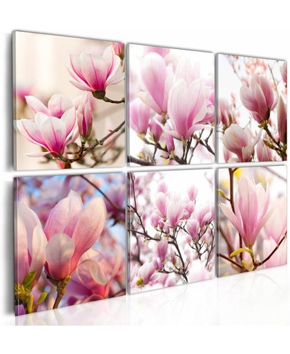 Schilderij - Zuidelijke magnolias