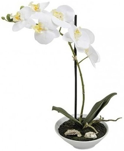 Kunstplanten in pot witte orchidee 38 cm - Witte Phalaenopsis in bloempot 38 cm
