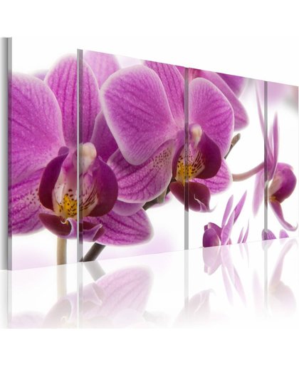 Schilderij - Geweldige Orchidee