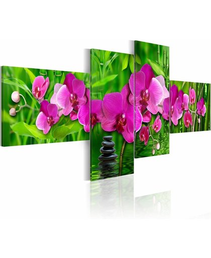 Schilderij - Zen in felle kleuren - Orchidee