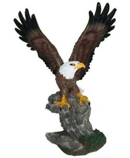 Decoratie Amerikaanse zeearend beeldje 28 cm