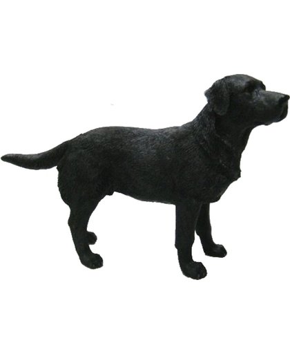 Beeldje Labrador zwart 14 cm - Honden beeld
