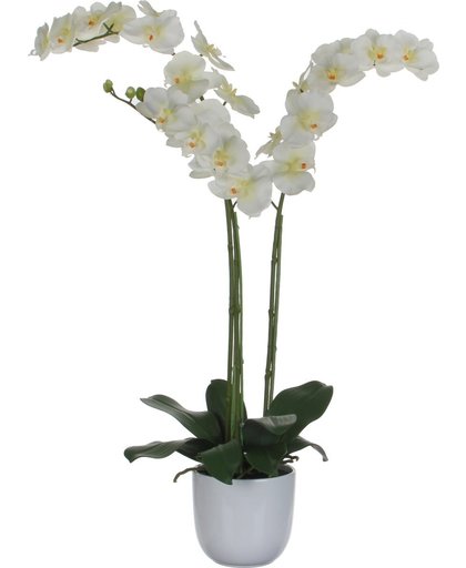 Mica Kunstplant orchidee wit in pot wit d14,5cm - h100xd53cm