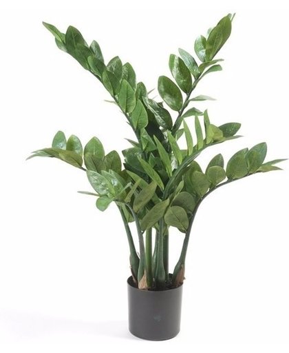 Kunstplant Zamioculcus 70 cm - kunstplant
