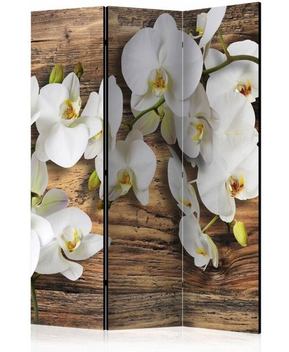 Vouwscherm - Orchidee op hout 135x172cm