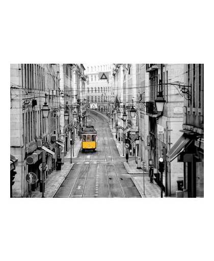 - streets of lisbon - 366 x 254 cm - multi