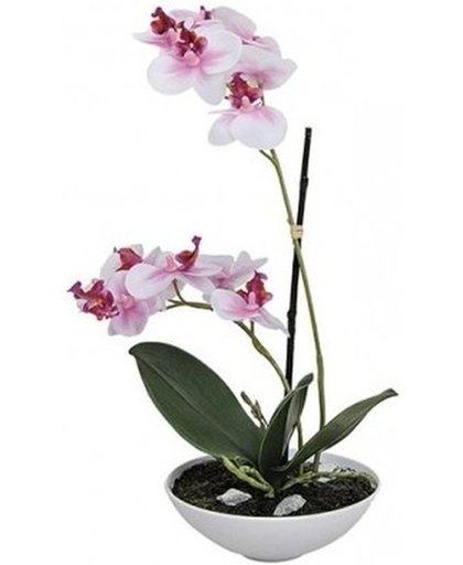 Kunstplanten in pot roze orchidee 25 cm - Wit/roze Phalaenopsis in bloempot 25 cm