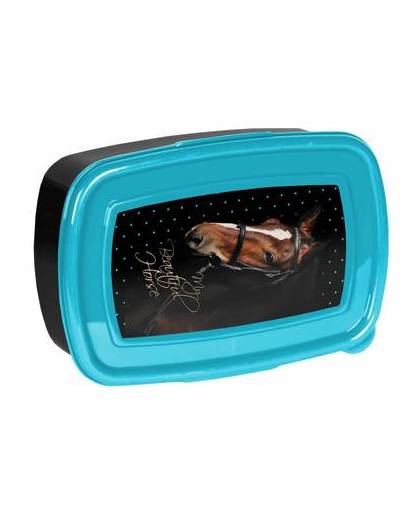 My beautiful horse - lunchbox - 18,5 x 13 cm - zwart