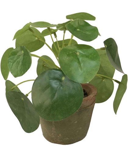 Kunstplant pannenkoeken plant groen in pot 13 cm - Kamerplant groen pilea