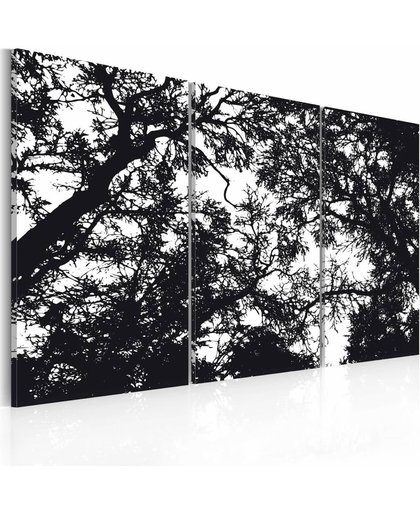 Schilderij - Dichte bossen, zwart wit