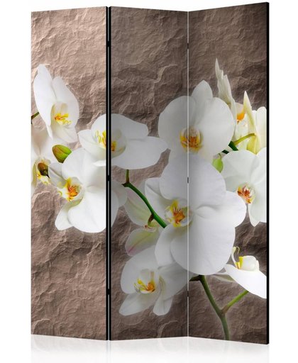 Vouwscherm - Perfectie van de Orchidee 135x172cm