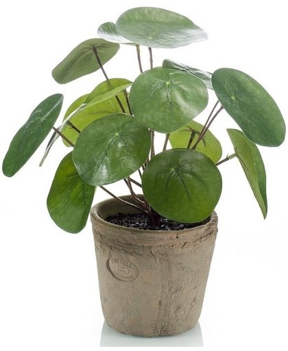 Kunstplant pannenkoeken plant groen in pot 25 cm - Kamerplant groen pilea