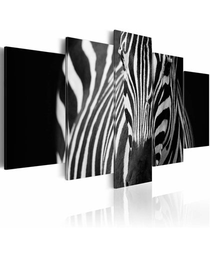 Schilderij - Zebra look