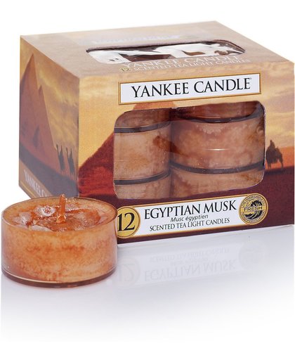 Yankee Candle waxinelichtjes Egyptian Musk