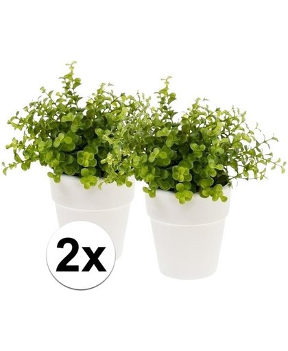 2x Kunstplant eucalyptus groen in pot 22 cm - Kamerplant groene eucalyptus