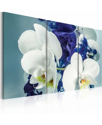 Schilderij - Hersenschim orchideeën