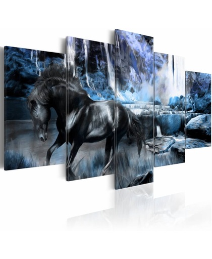 Schilderij - Paard en waterval