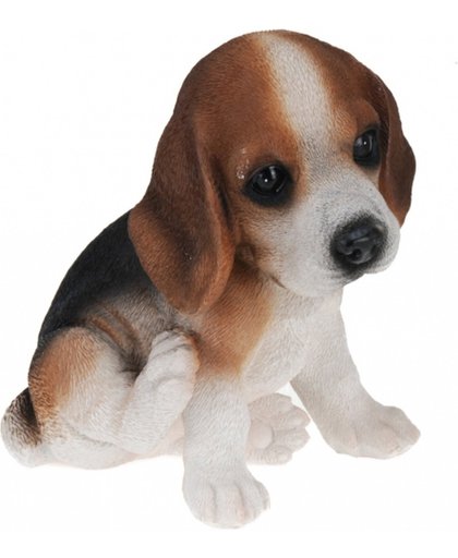 Beagle honden beeldje voor binnen 17 cm