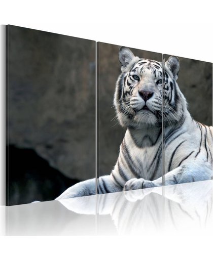 Schilderij - Witte tijger