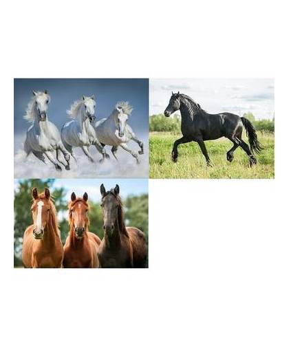 3x dieren magneten 3d paarden