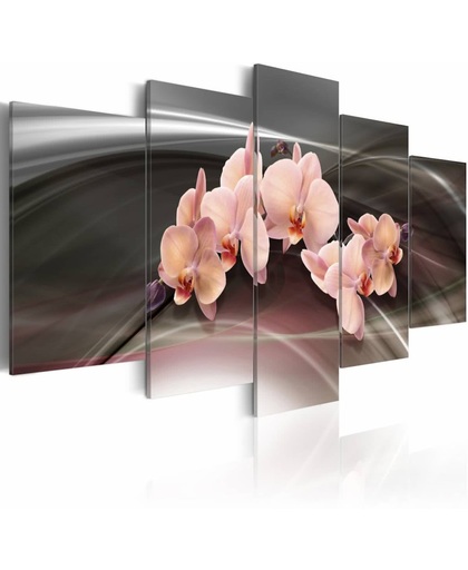 Schilderij - Roze orchidee op een donkere achtergrond