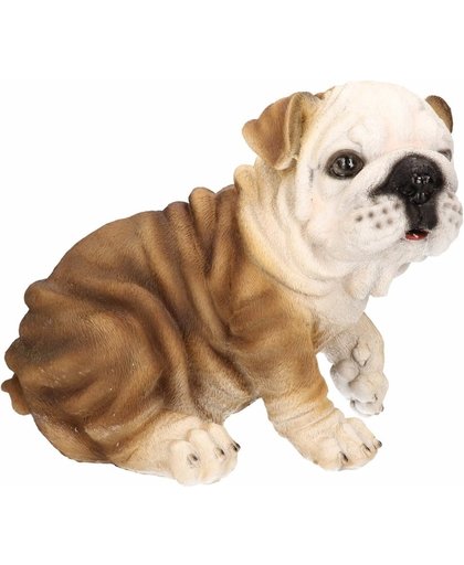 Dierenbeeld bulldog 18 cm - honden beeldje