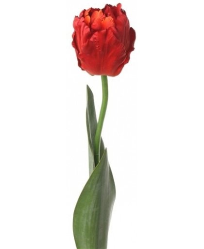 Kunstbloem tulp rood 62 cm