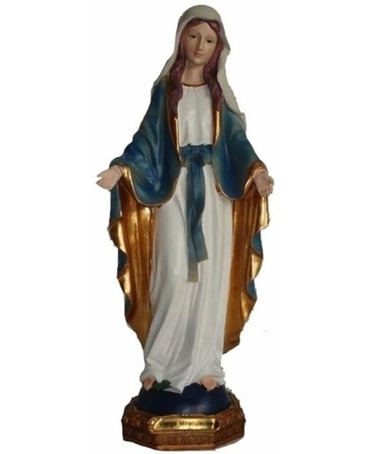 Heilige Maagd Maria beeldje 22 cm - Polystone - Kerst decoratie