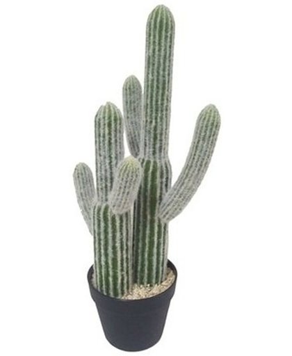 Kunstplant Calvina Cactus 65 cm