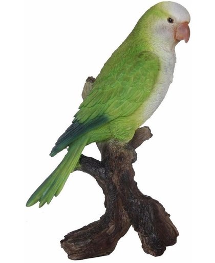 Dierenbeeldje dwerg papegaai 23 cm - dierenbeeldje